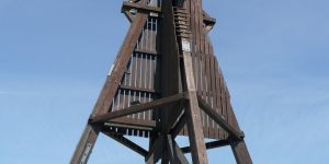 Top 10 Ausflugsziele in Cuxhaven für maritime Naturfreunde