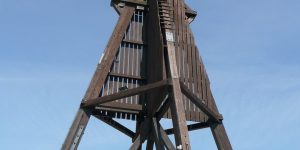 Top 10 Ausflugsziele in Cuxhaven für maritime Naturfreunde