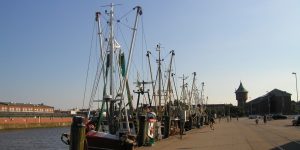 Kutter- und Fischereihäfen